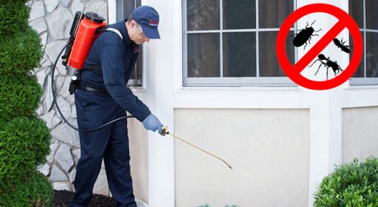 Doğançay Böcek ve Haşere İlaçlama böcek ilaçlama ve haşere kontrolü — ilaclama-tr.com